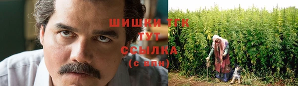 шишки Аркадак