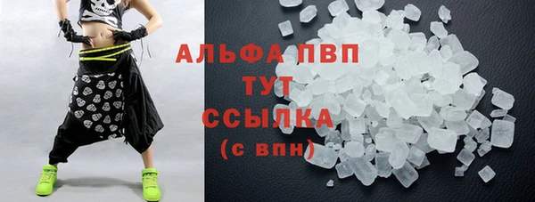 шишки Аркадак