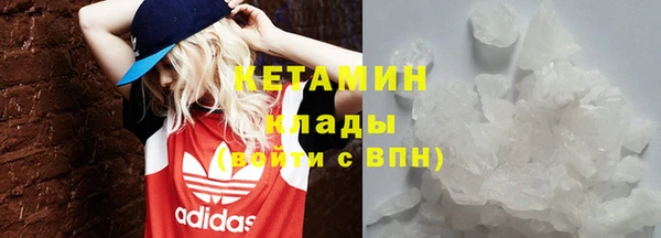 шишки Аркадак