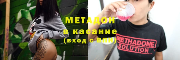 шишки Аркадак