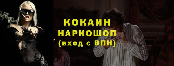 шишки Аркадак