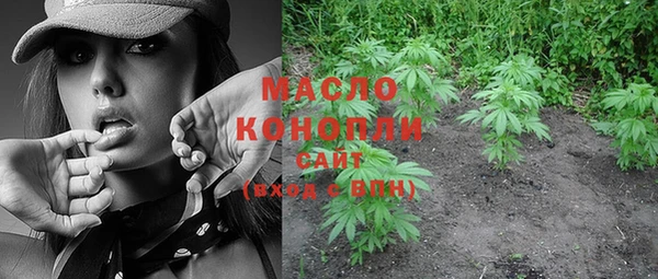 шишки Аркадак