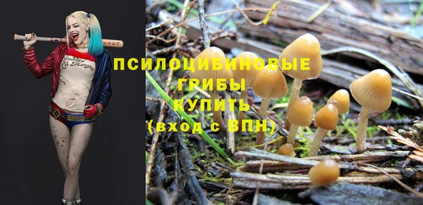 стаф Армянск