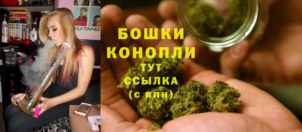 шишки Аркадак