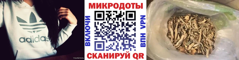Псилоцибиновые грибы MAGIC MUSHROOMS  магазин    Междуреченск 